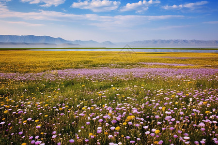 新疆伊犁自然美景背景图片