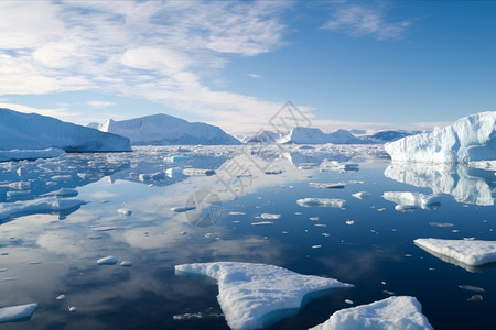南极洲漂浮的雪块图片