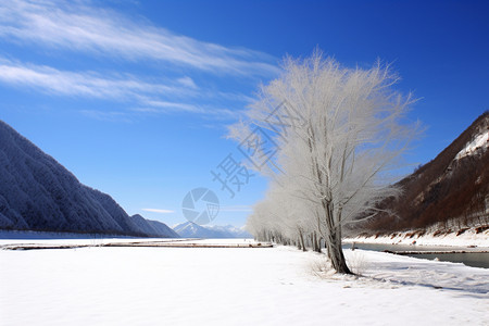 冬季户外草原的景观图片