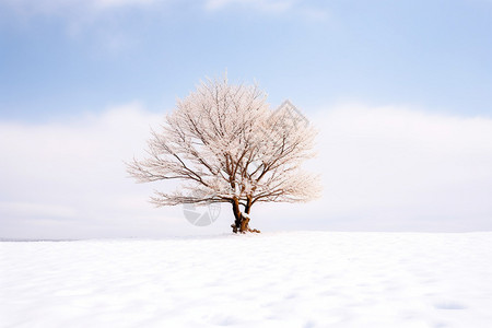 白雪覆盖的冬天大草原景观图片