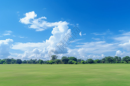 辽阔的大草原美丽的大草原背景