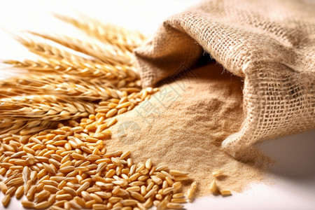 健康的小麦粉高清图片