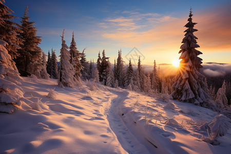 黄昏时的雪山山脉景观图片
