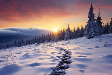 冬天的阿尔卑斯山景观图片