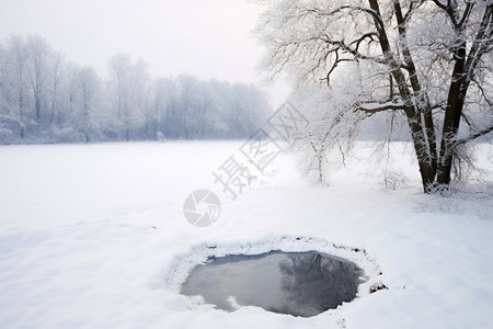 雪地露出的冰面图片