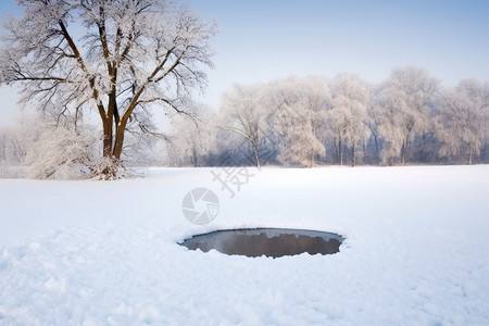 地面上的积雪图片