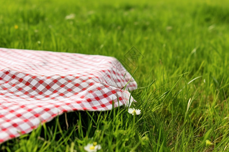 绿色草坪上的桌布图片