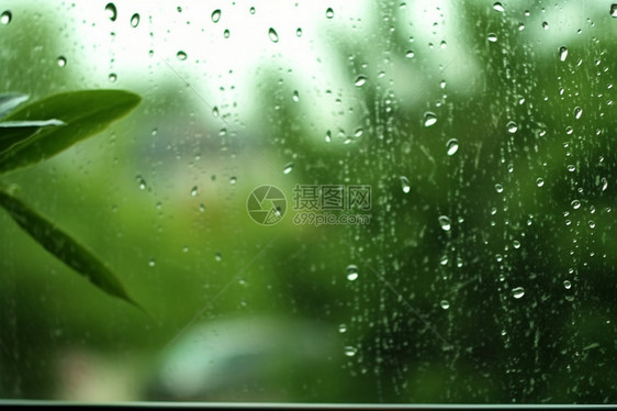 窗户上的雨滴图片