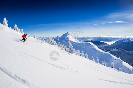雪山的滑雪运动图片