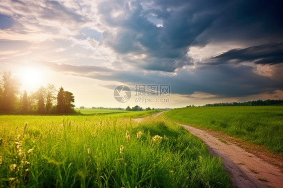 乡间的土地道路图片