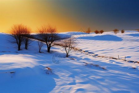 大雪覆盖下的内蒙古草原图片