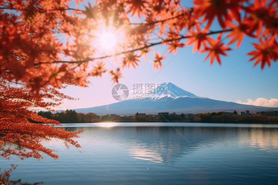 富士山下的风景图片