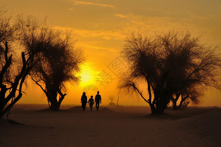 沙漠中的胡杨树和人图片