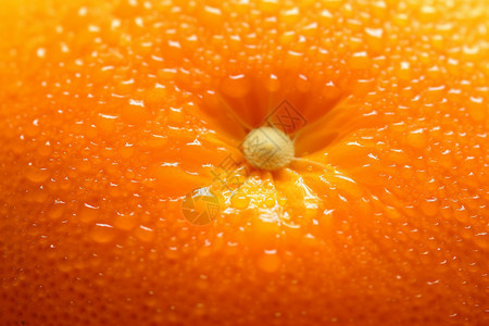 新鲜的橘子图片