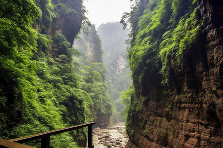 翠绿的大峡谷图片