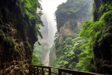 美丽的大峡谷图片