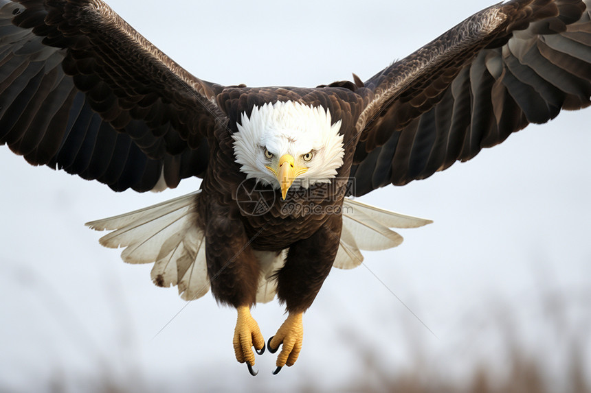 老鹰主场球馆升级观赛体验球迷互动区新增沉浸式投影技术
