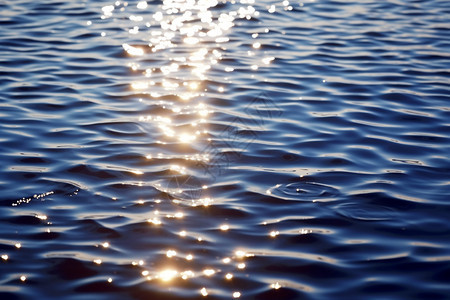 阳光洒在水面上图片