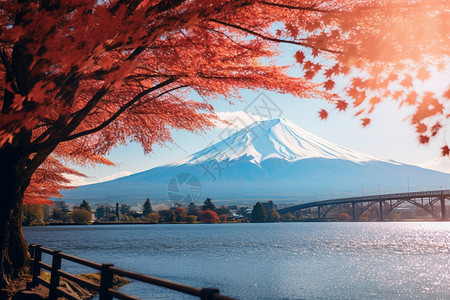 秋季的富士山景观图片