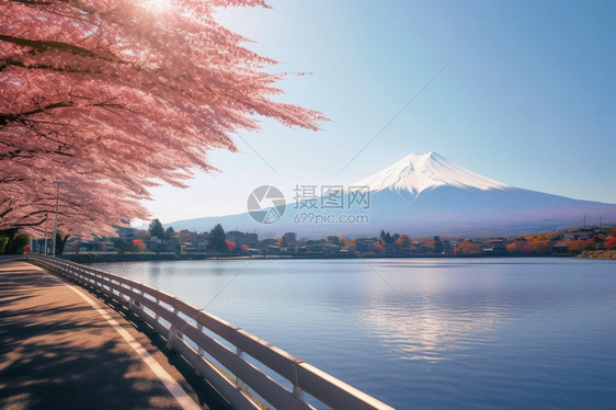 美丽的富士山景色图片