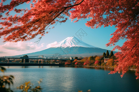 日本火山山脚下的景色图片
