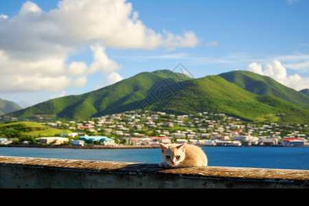 海岸岛屿的风景图片