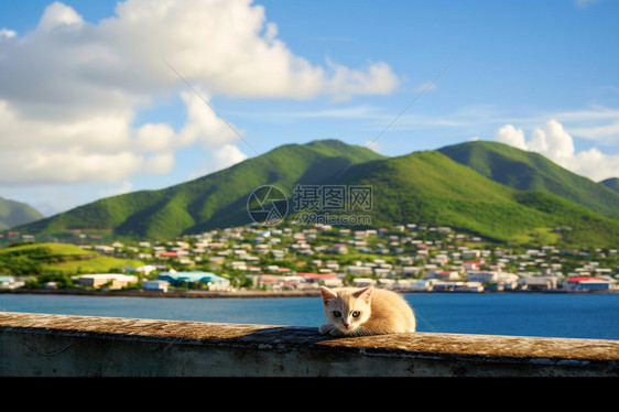 海岸岛屿的风景图片