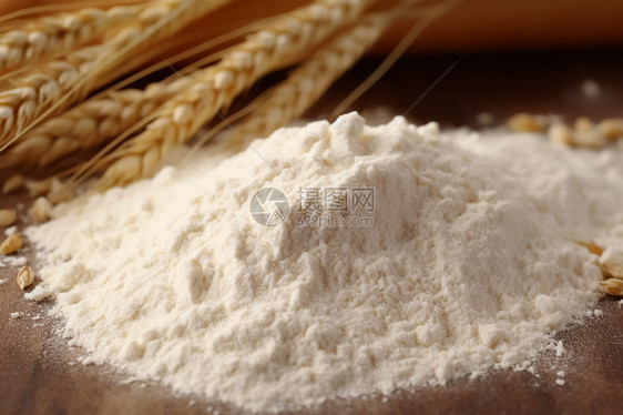 小麦粉和麦穗特写图片