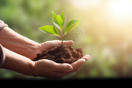 守护土壤和植物背景图片