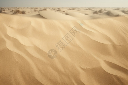 户外干旱的沙漠图片