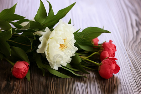 桌子上的植物花朵背景图片