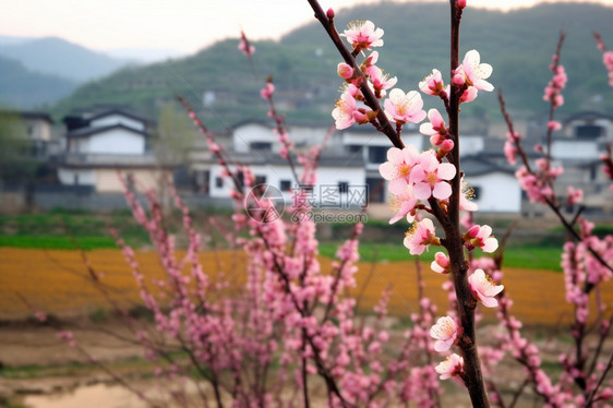 乡村美丽的风景图片