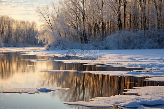 宁静的公园的冬日风景图片
