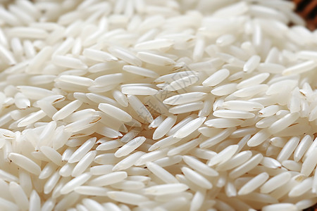 水稻种子新鲜的大米背景