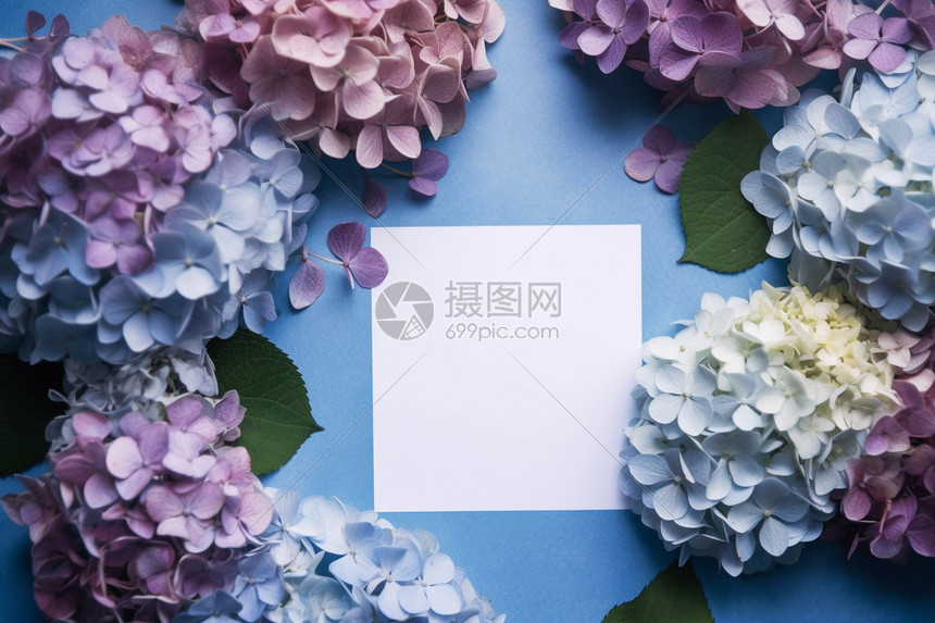 美丽花朵包围着白色信纸图片