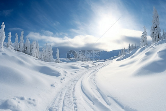 冬天的雪景图片