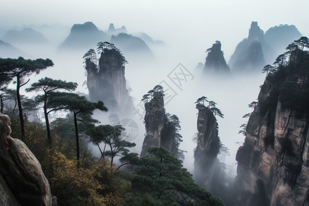 雾中的山林奇观图片