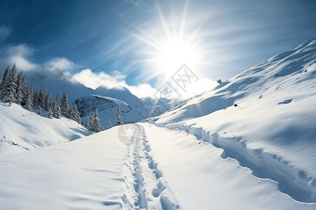 唯美的雪景图片