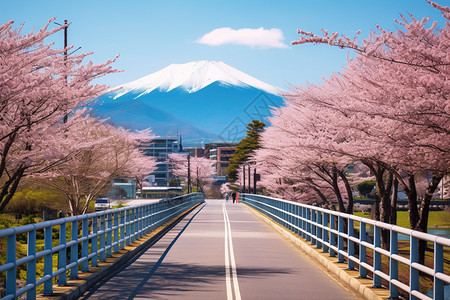 开满桃花的北海道城市景观图片