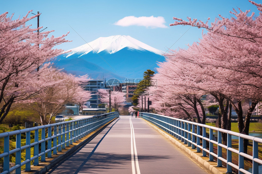 开满桃花的北海道城市景观图片