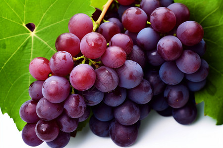 新鲜葡萄营养丰富的葡萄背景