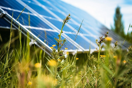 太阳能新能源生态新能源的利用背景