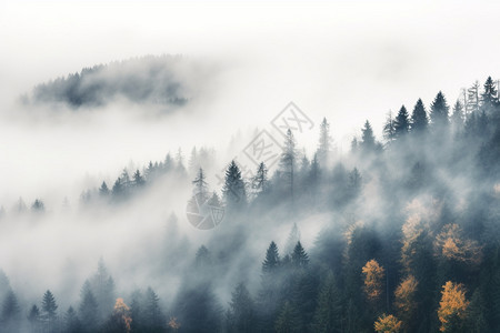 云雾缭绕的户外风景图片