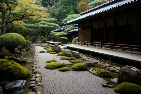 寺院内的建筑和植物图片