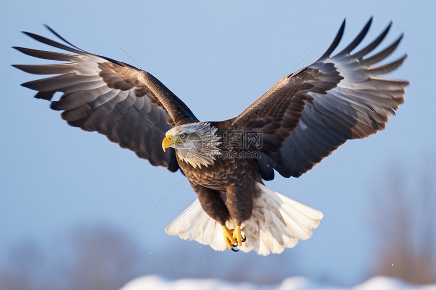 老鹰对决奇才全场激战直播呈现