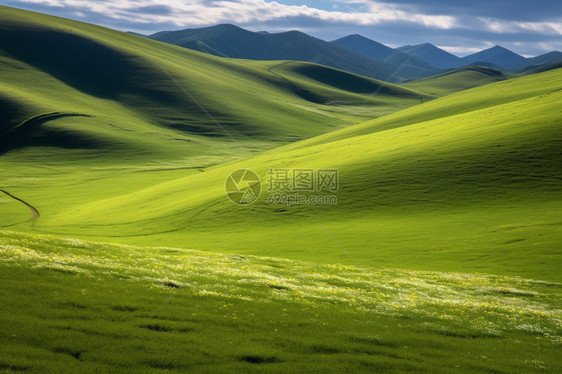 草原花海风景图片