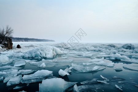 壮观的海上浮冰图片