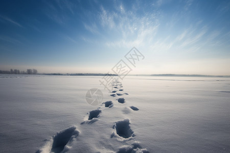 辽阔雪地上的脚印图片