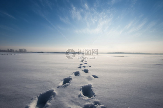 辽阔雪地上的脚印图片