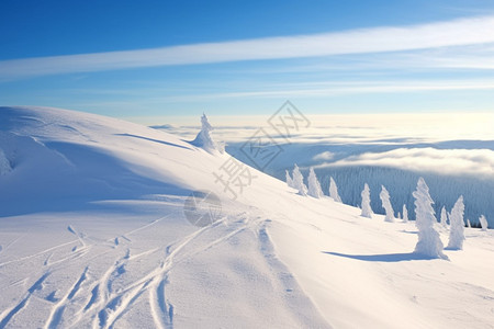 雪山雪地图片